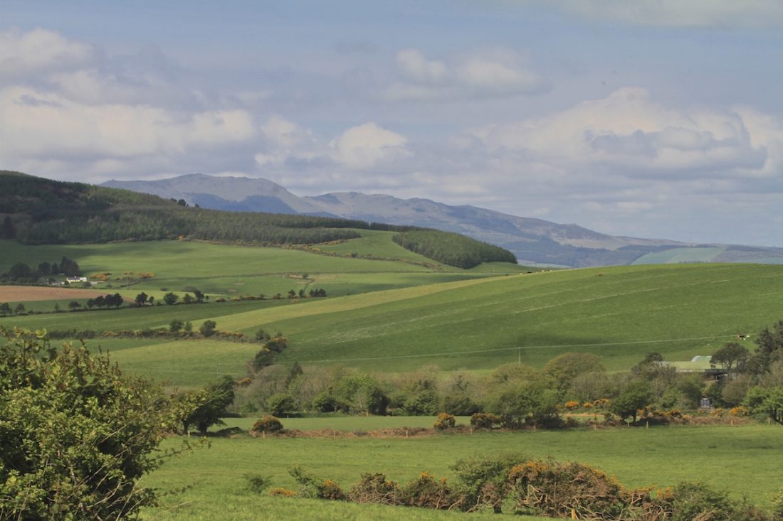 County-Waterford-meadow