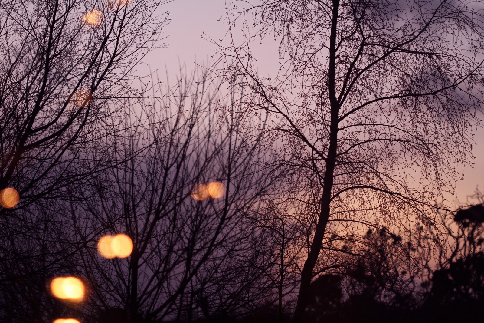 December dusk from my window