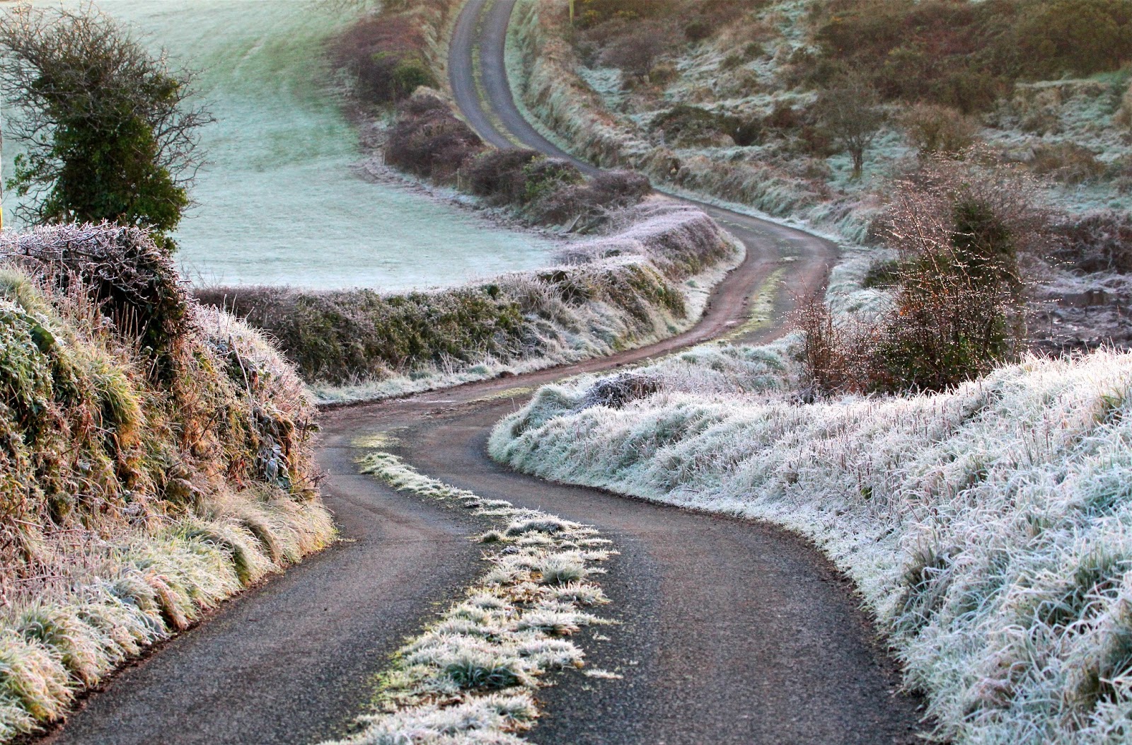Frosty morning on the lane