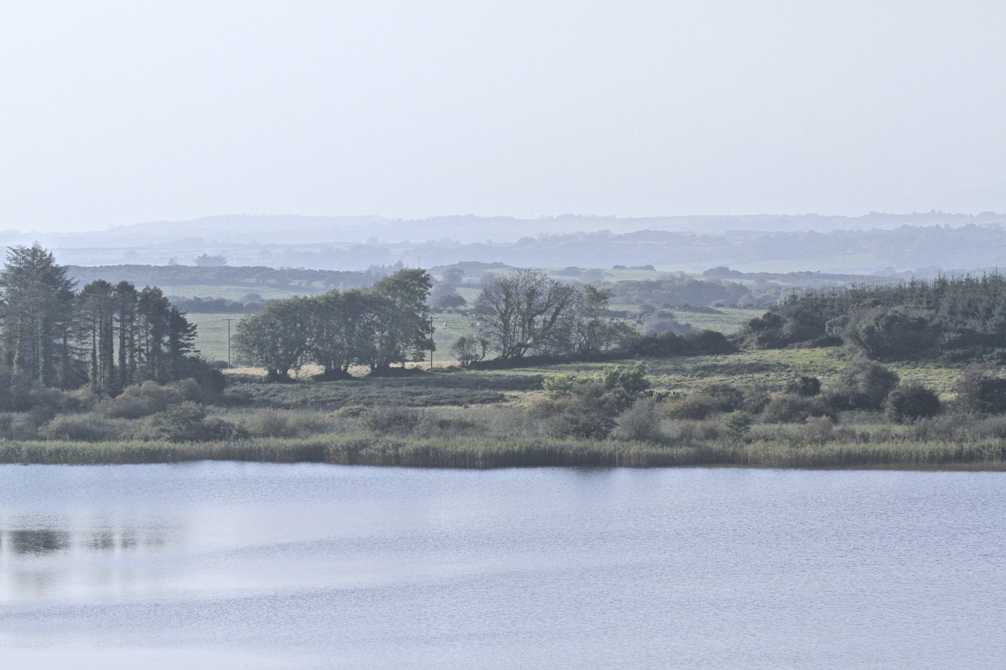 Perhaps the truth depends on a walk around a lake