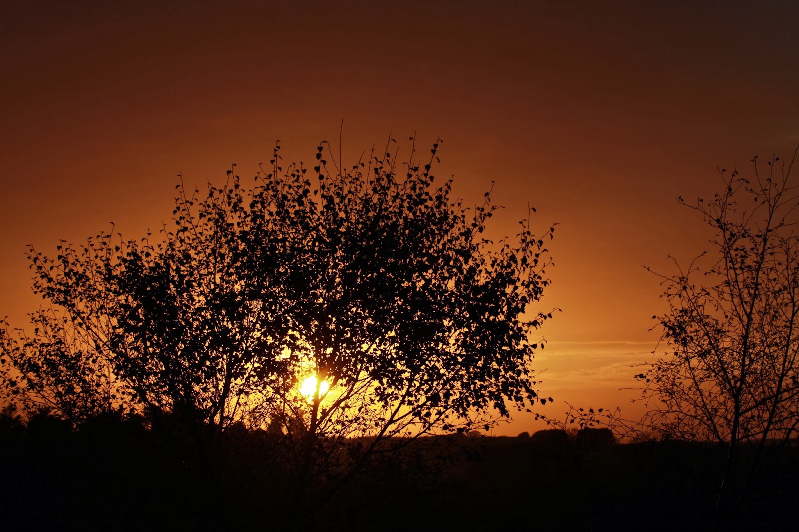 An introvert at dusk