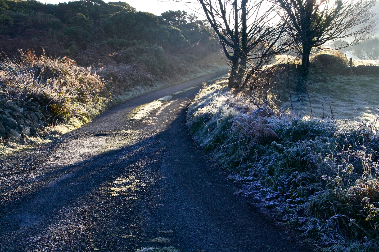 November morning in Ireland