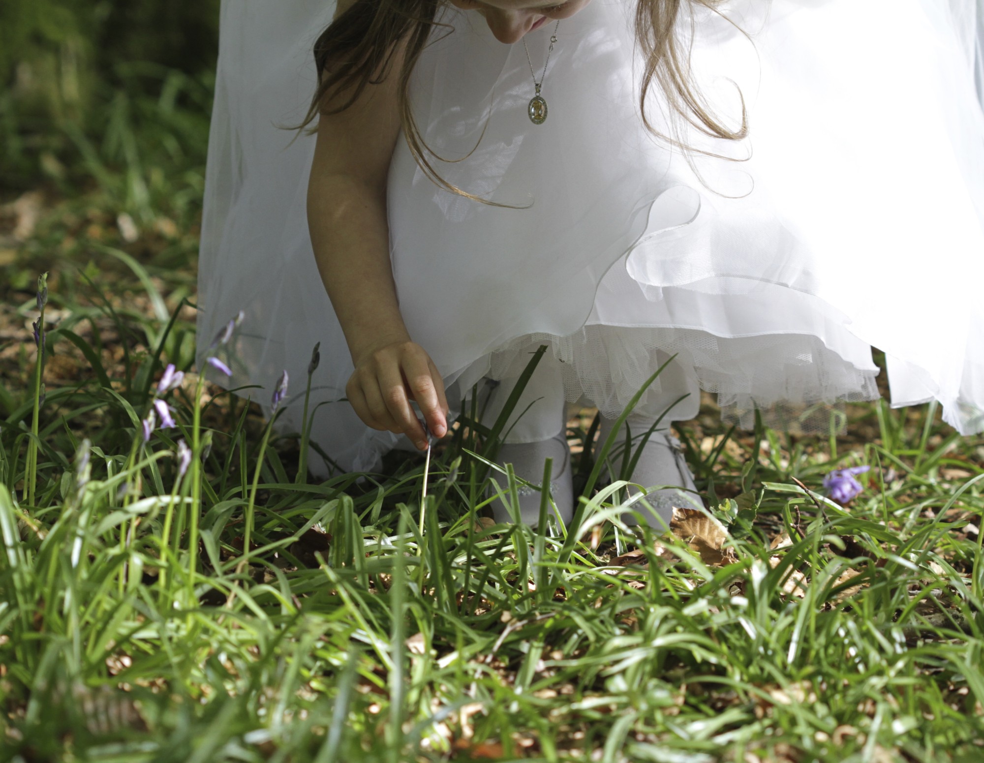 Safe and sound in the Bluebells