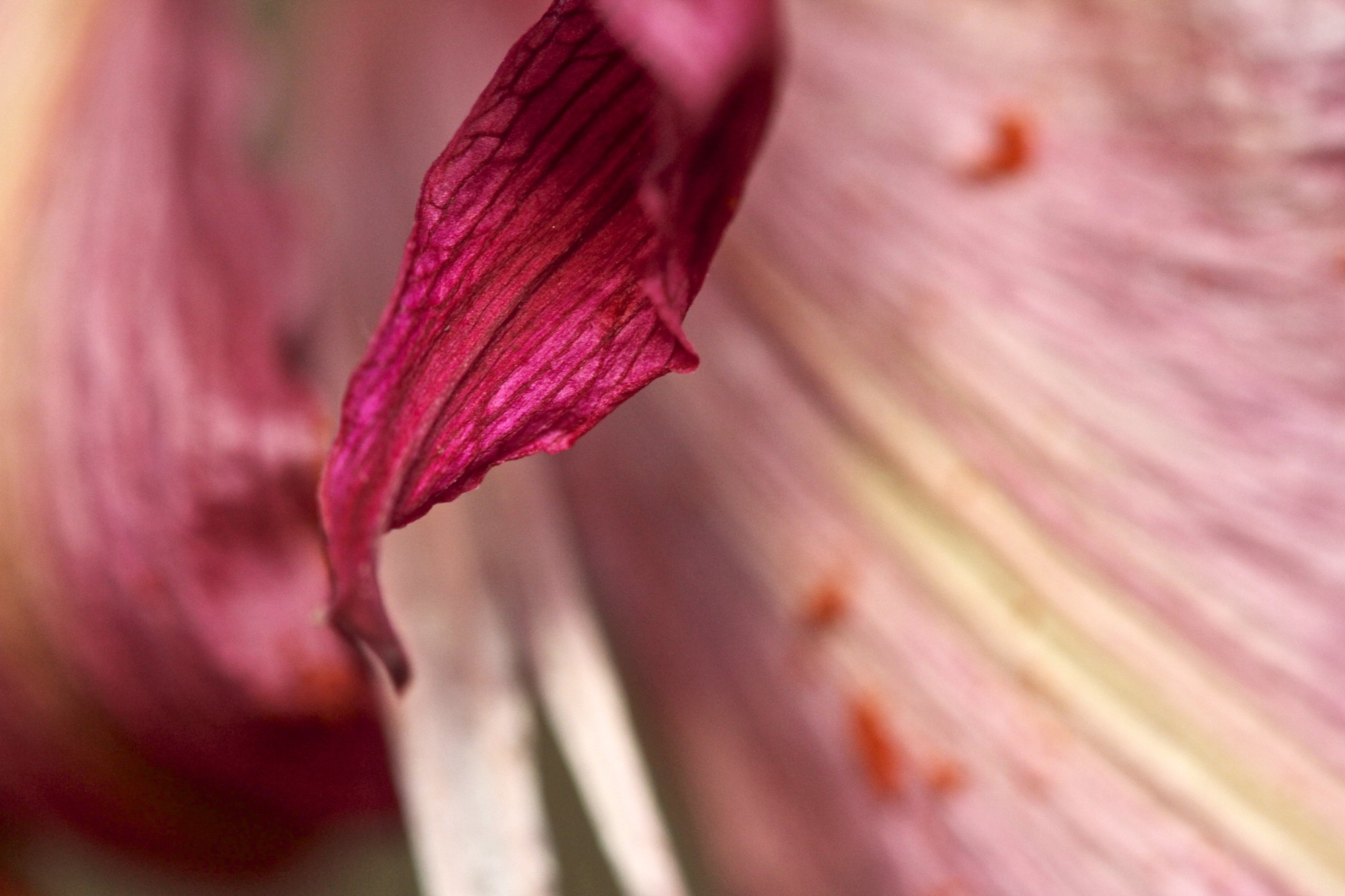 Ripening