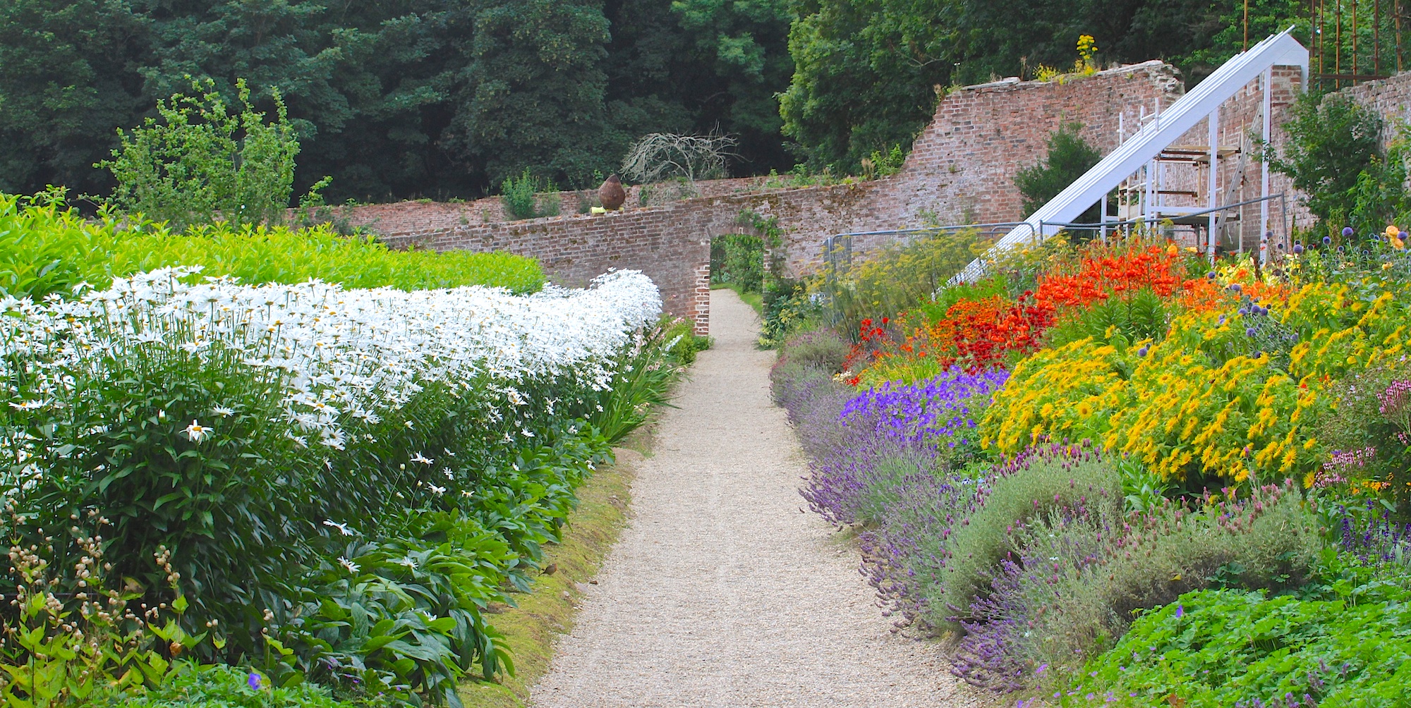 Full on summer in the garden