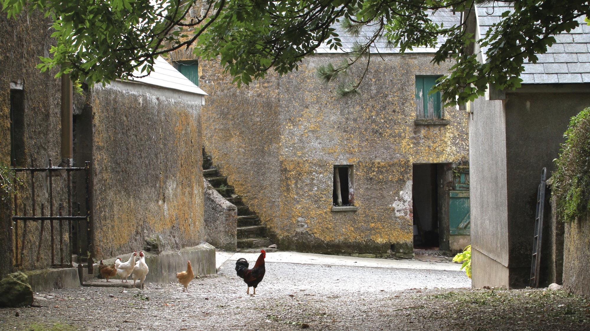 The mad excitement of rural living