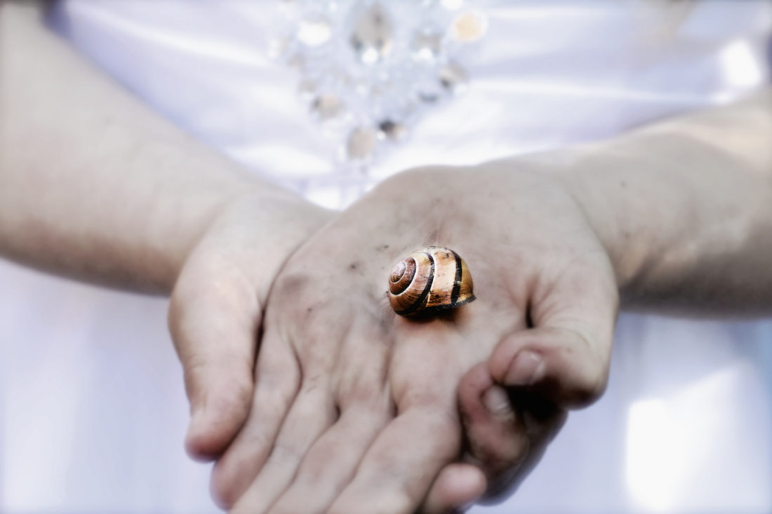 Hand-focus-snail-shell