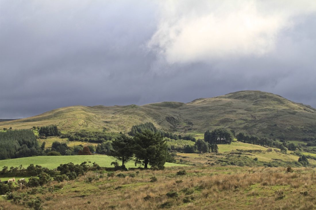 light-falls-on-soft-hills