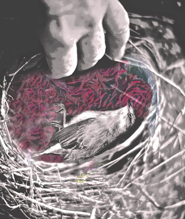 Transgression Transgression