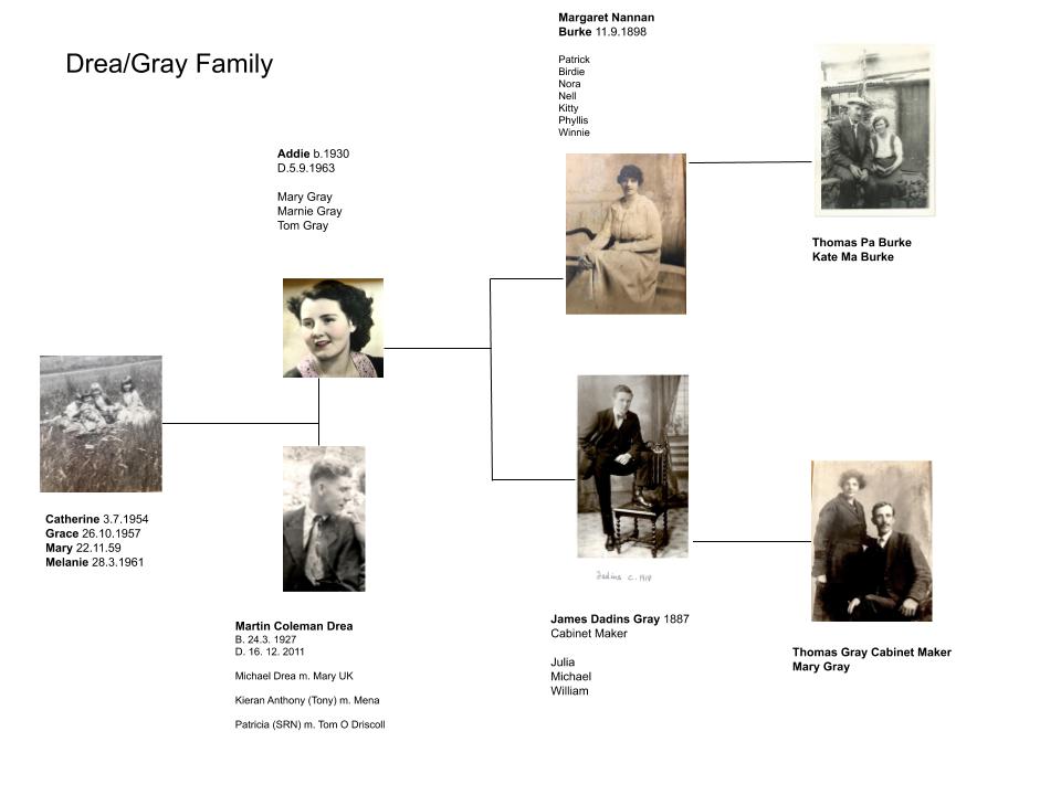 Gray Family Tree Gray Family Tree